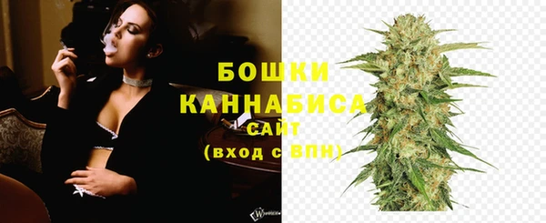 PSILOCYBIN Каменногорск