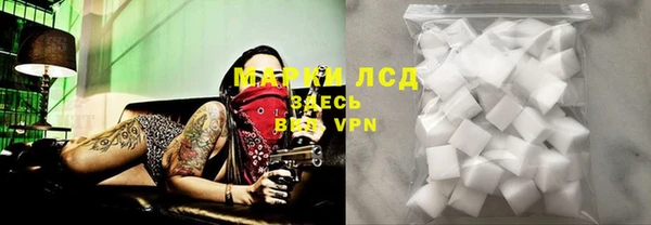 спиды Каменка