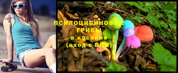 apvp Каменск-Шахтинский
