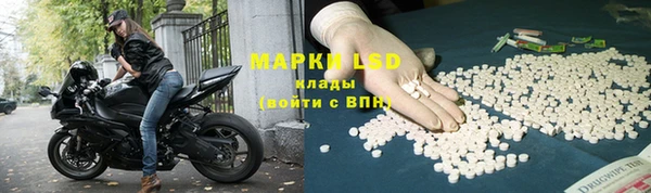 стаф Карталы