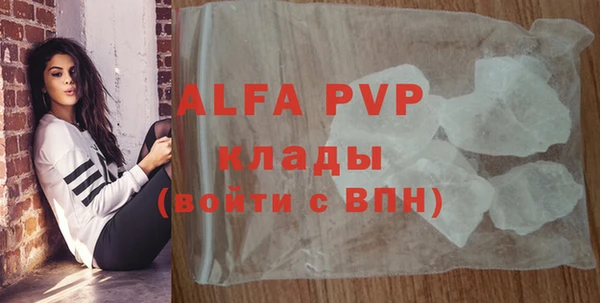 спиды Каменка